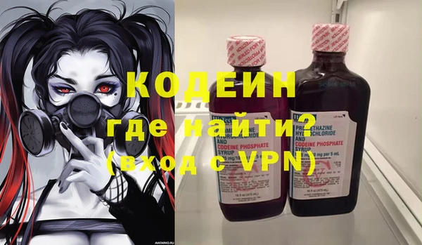 хмурый Алексин