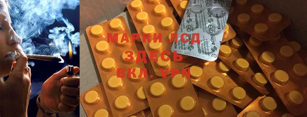 хмурый Алексин